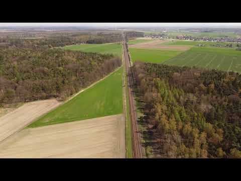 Blotnica Strzelecka z lotu ptaka - dron DJI Mini2 Maj 2022