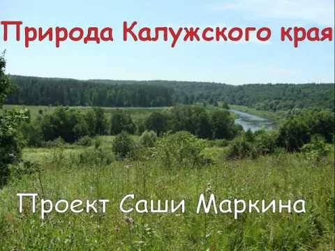 Особенности города калуга. Основные сведения о поверхности калужского края. Малоярославец река. Проект родные калужская область. Проект родные калужская область.