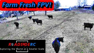 Farm Fresh FPV | iFlight Protek25 FPV Drone Flight