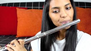 Wrecking Ball - Miley Cyrus Flute Cover
