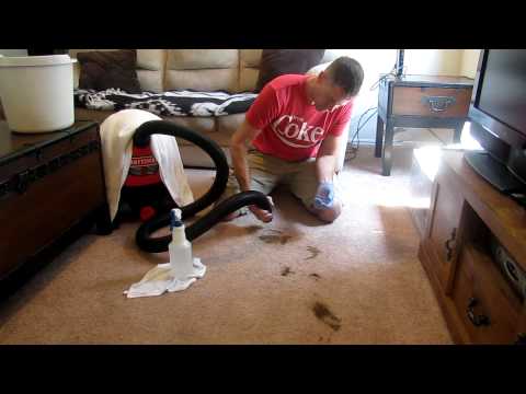 How to clean poop out of carpet