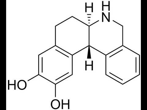 Dihydrexidine | Wikipedia audio article