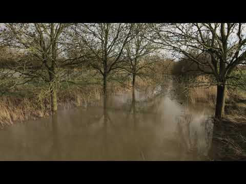 Wetter Münster 29.01.2021 - Dauerregen und am Nachmittag Wetterberuhigung in Münster
