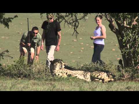 Shamwari Private Game Reserve video tour thumbnail