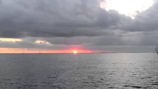 Tin Cup Chalice - Jimmy Buffett