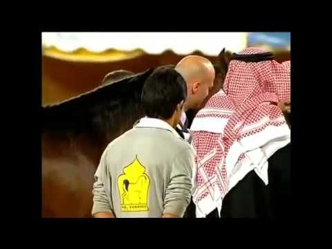 MNAWER ATHBAH - Kuwait - International Championship 2015