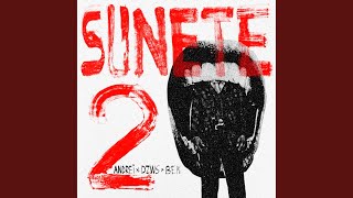 Cover art for sunete 2