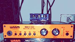 Video thumbnail for Capi VP28 vs Warm Audio WA12 vs Heritage DTT-73 by Juanka78’s Gear