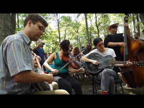 Clifftop 2019 - Smith's Reel - Hard Drive