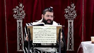 זבחים דף נ"ו ע''ב ¤ הרב נתנאל אברז'ל ¤ בית הכנסת "בית מרדכי" (מוסדות תורת דוד) - התמונה מוצגת ישירות מתוך אתר האינטרנט יוטיוב. זכויות היוצרים בתמונה שייכות ליוצרה. קישור קרדיט למקור התוכן נמצא בתוך דף הסרטון