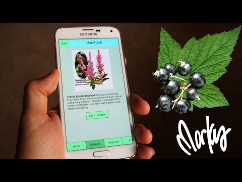 EDIBLE PLANT APP GUIDE for your cell phone or ipad for wild foraging