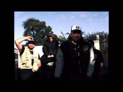 ZIPS - CLUB FREESTYLE