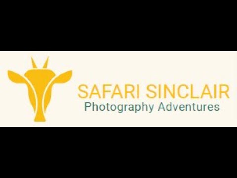 Wildlife Photography Workshops Courses & Guided Photography Safaris UK