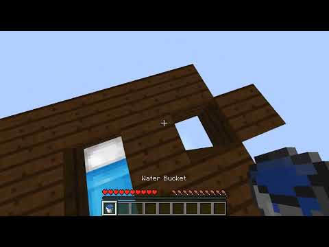 WhatsApp Video 2022 03 13 at 7 44 39 PM