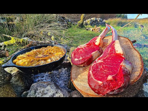 Luxury Steak Dinners in Nature | Epic Primitive Cooking Compilation