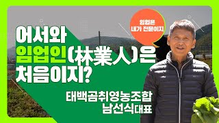 [#어서와​​​, 임업인은 처음이지?] 태백곰취영농조합 남선식대표
