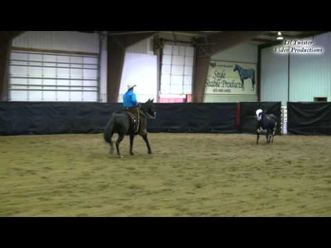 Lance Scheffel & Docs Shiney Amber - Open Cowhorse - May 16, 2015