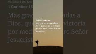 Dios nos da la VICTORIA. #fe #marcoswitt #paz #amor #diosteama #salmo #gracias #pianomusic #worship