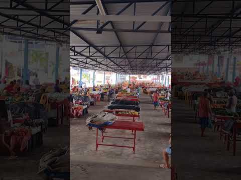 FEIRA DE SANTA INÊS BAHIA #shorts #feira #santainês #santaines #bahia #turismo #entretenimento