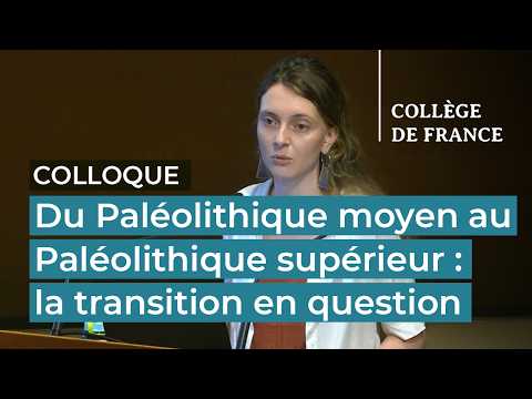Du Paléolithique moyen au supérieur (4/9)