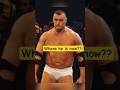 wwe where are they now? what happened to vlodmir kozlov after he released from wwe #wrestling