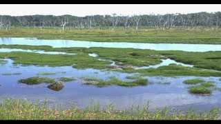 北海道を旅する！至極の旅ゲー、風雨来記実況！！Part9