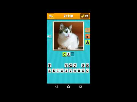 Animals Quiz - guess and learn Video