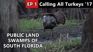 Florida Public Land Osceola Hunt - Calling All Turkeys
