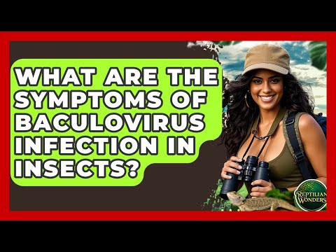 What Are The Symptoms Of Baculovirus Infection In Insects? - Reptilian Wonders