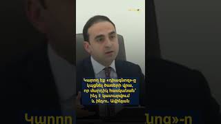 Կարող եք «դիագնոզ»-ը կպցնել ծառերի վրա, որ մարդիկ հասկանան՝ ինչ է կատարվում և ինչու. Ավինյան