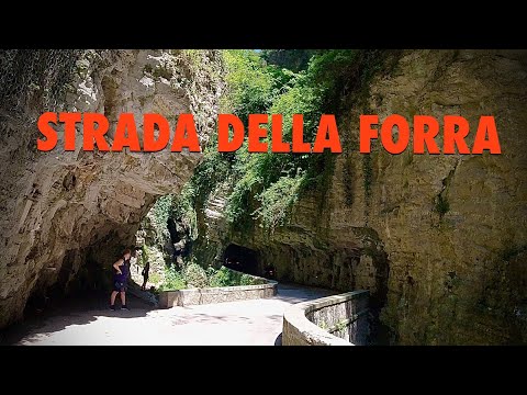 LA STRADA DELLA FORRA in 1.5 min 🔥
