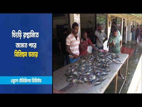 চিংড়ি রপ্তানিতে বিলিয়ন ডলার