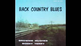 Sonny Terry & Brownie McGhee - Back Country Blues: 1947-55 Savoy Recordings (Full Album)