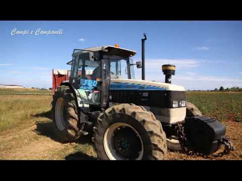 Campi e campanili - 2016 - puntata 14