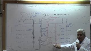 9) Dr.Ibrahim 10/03/2015 [ Concentration of Urine & Diurisis ]