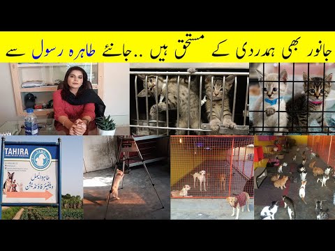 Animal Welfare Foundation Faisalabad