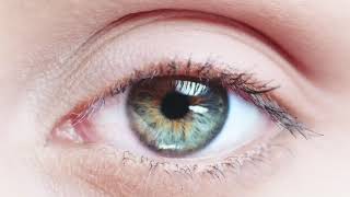 Macro Close up eye blinking Slow Motion - no Copyr