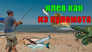 Ссылка