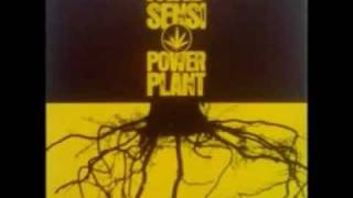 BENJAMMIN - WAR ON DRUGS - MENTAL RIDDIM MAD SENSI