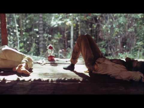 A Story Of True Hallucinations - Terence McKenna