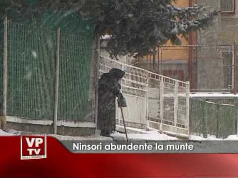 Ninsori abundente la munte