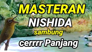 Download lagu masteran pleci nishida sambung cerrr dan sambung tiiir prenjak betina | masteran pleci g12 mp3 Download lagu masteran pleci nishida sambung cerrr dan sambung tiiir prenjak betina | masteran pleci g12 mp3