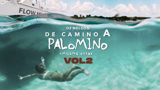 La Botella Lyrics English Translation