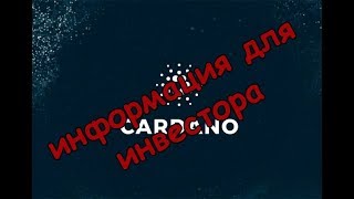 Полная информация для инвестора - монета Cardano