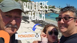 Boulders Penguin Colony in Simons Town. South Africa! 🤗🤗