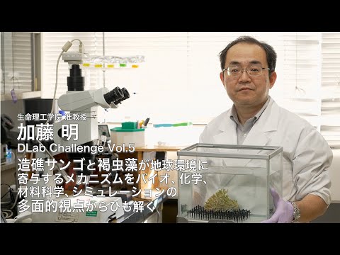 #5 DLab Challenge「造礁サンゴと褐虫藻が地球環境に寄与するメカニズムをバイオ、化学、材料科学、シミュレーションの多面的視点からひも解く」