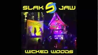 Slak Jaw   Wicked Woods 2012