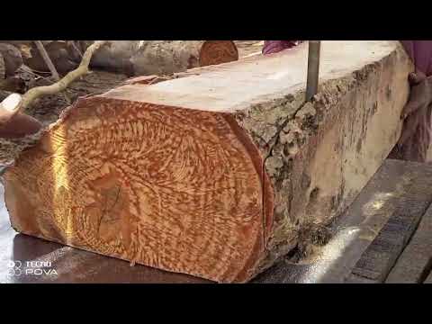 Beautiful Lion Woodcarving - Bestwoodworking