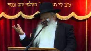 חכמת הפנים | קדושת האדם | הרב דניאל זר