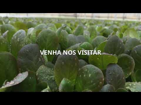 NaanDanJain - 25ª Hortitec